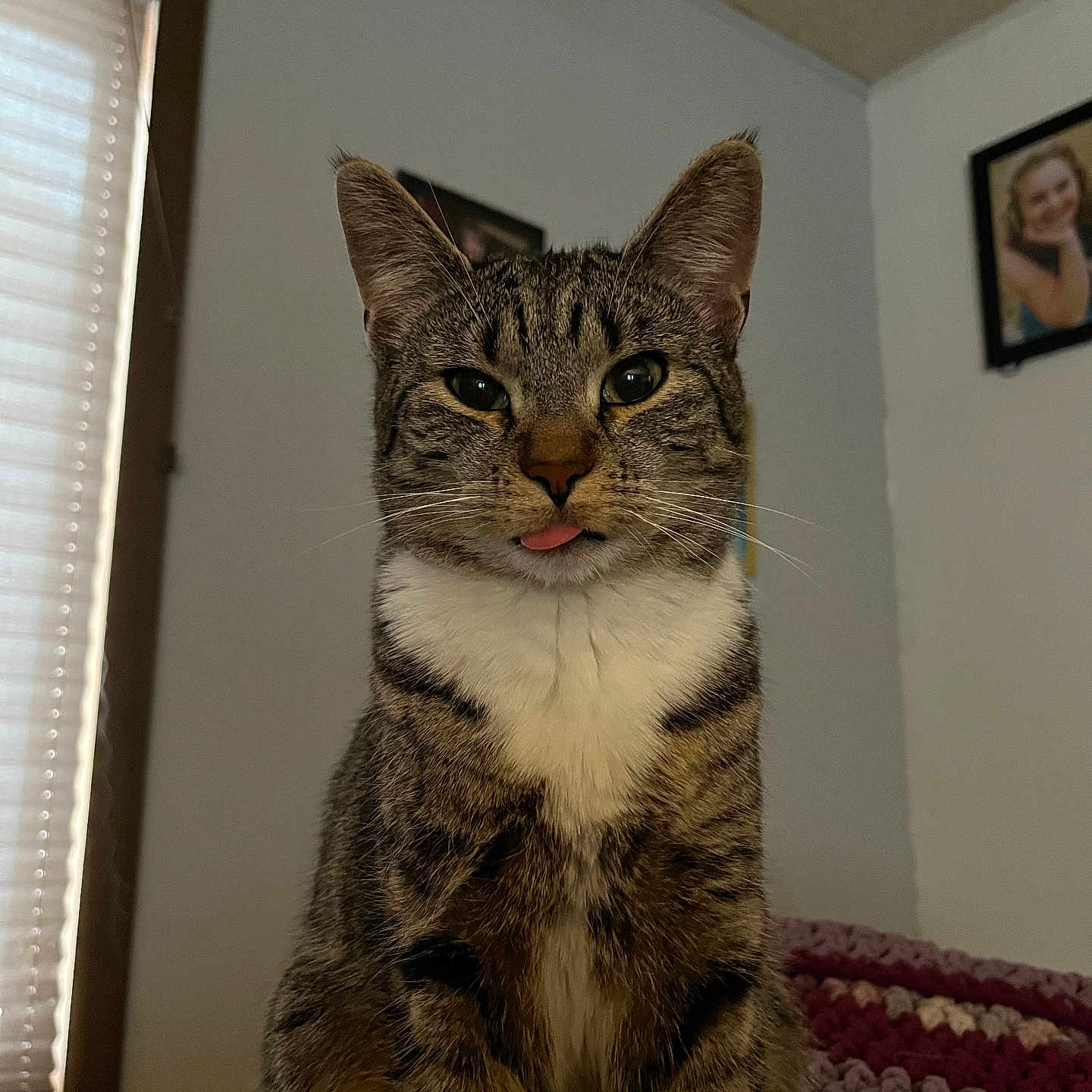 Minnie