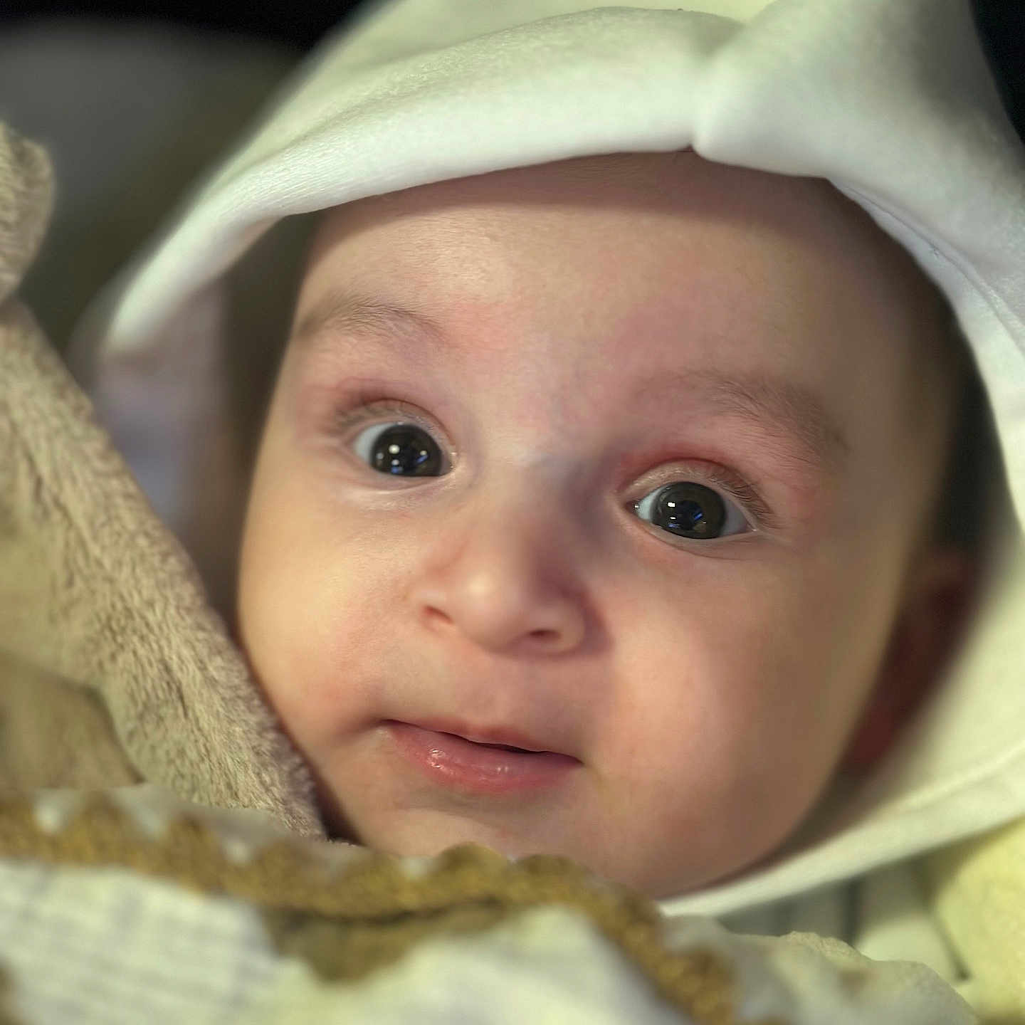 Gabriel a rejoint le concours — aidez-le/la à gagner de superbes lots ! adorable, baby, blanket, child, closeup, cozy, cute, expression, eyes, face, hood, infant, innocent, newborn, portrait, skin, soft, warm, wrapped, young