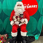 Shania is registered to the contest to win money with this photo: background, beard, boots, christmas, costume, dog, fabric, festive, floor, glasses, green, holiday, indoor, logo, person, pet, red, santa_claus, stuffed_animal, toy