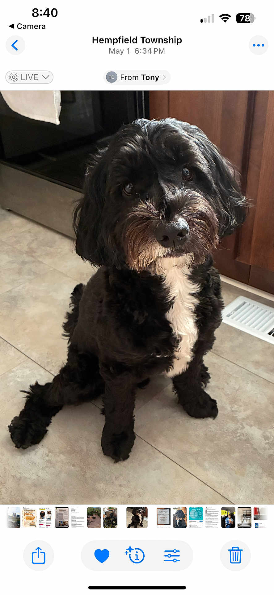 Oliver