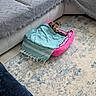 Strawberry joined the competition — help win amazing prizes! blanket, comfort, couch, cozy, decor, dog, floor, home, indoor, living_room, patterned_rug, peaceful, pet_bed, pillow, quiet, relaxation, resting, rug, small_dog, textile