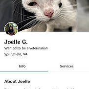 Birdie is registered to the contest to win money with this photo: cat, animal, pet, whiskers, close_up, face, nose, headshot, profile_header, profile_avatar, human_avatar, screenshot, mobile_screen, app_ui, button, text_block, bio_section, promote_button, tab_bar, background_blur