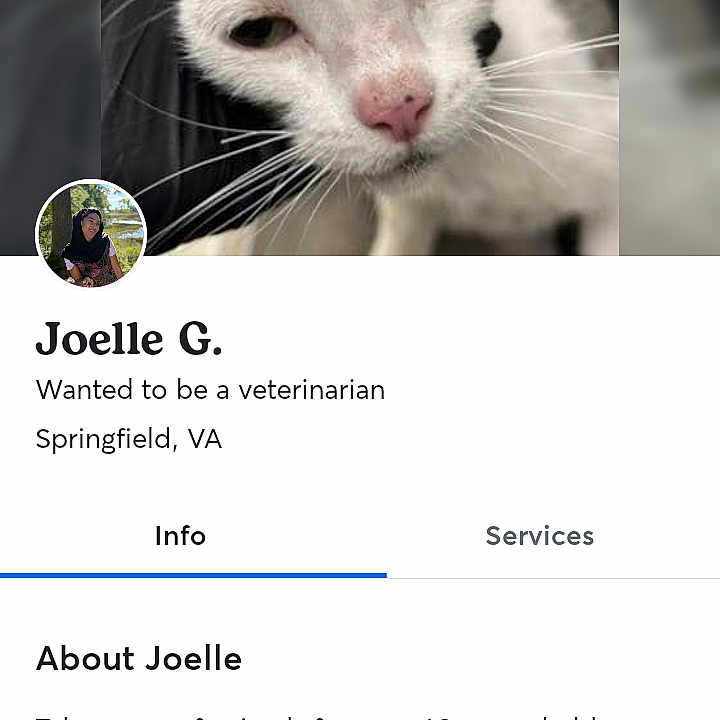 Birdie is registered to the contest to win money with this photo: animal, app_ui, background_blur, bio_section, button, cat, close_up, face, headshot, human_avatar, mobile_screen, nose, pet, profile_avatar, profile_header, promote_button, screenshot, tab_bar, text_block, whiskers