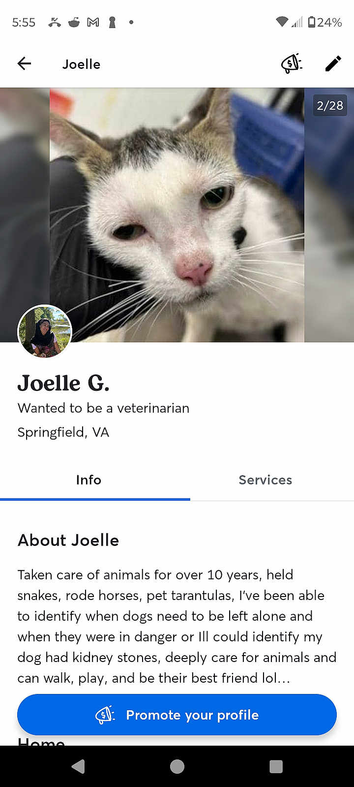 Birdie is registered to the contest to win money with this photo: cat, animal, pet, whiskers, close_up, face, nose, headshot, profile_header, profile_avatar, human_avatar, screenshot, mobile_screen, app_ui, button, text_block, bio_section, promote_button, tab_bar, background_blur