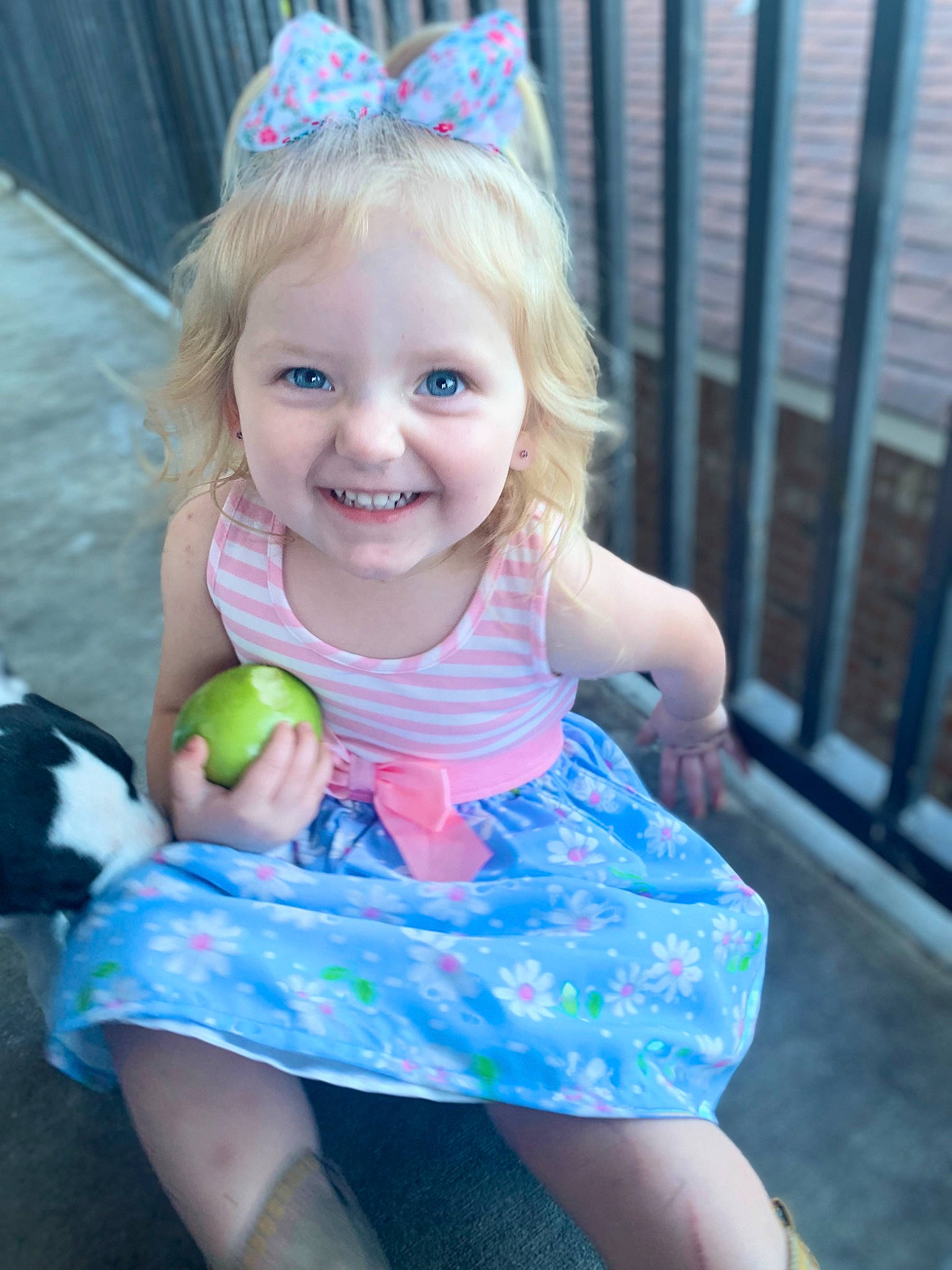 Hallie joined the competition — help win amazing prizes! aqua, azure, baby_toddler_clothing, blue, child, dress, eye, face, fashion, fence, grass, hair, happy, head, iris, joy, person, pink, purple, skin