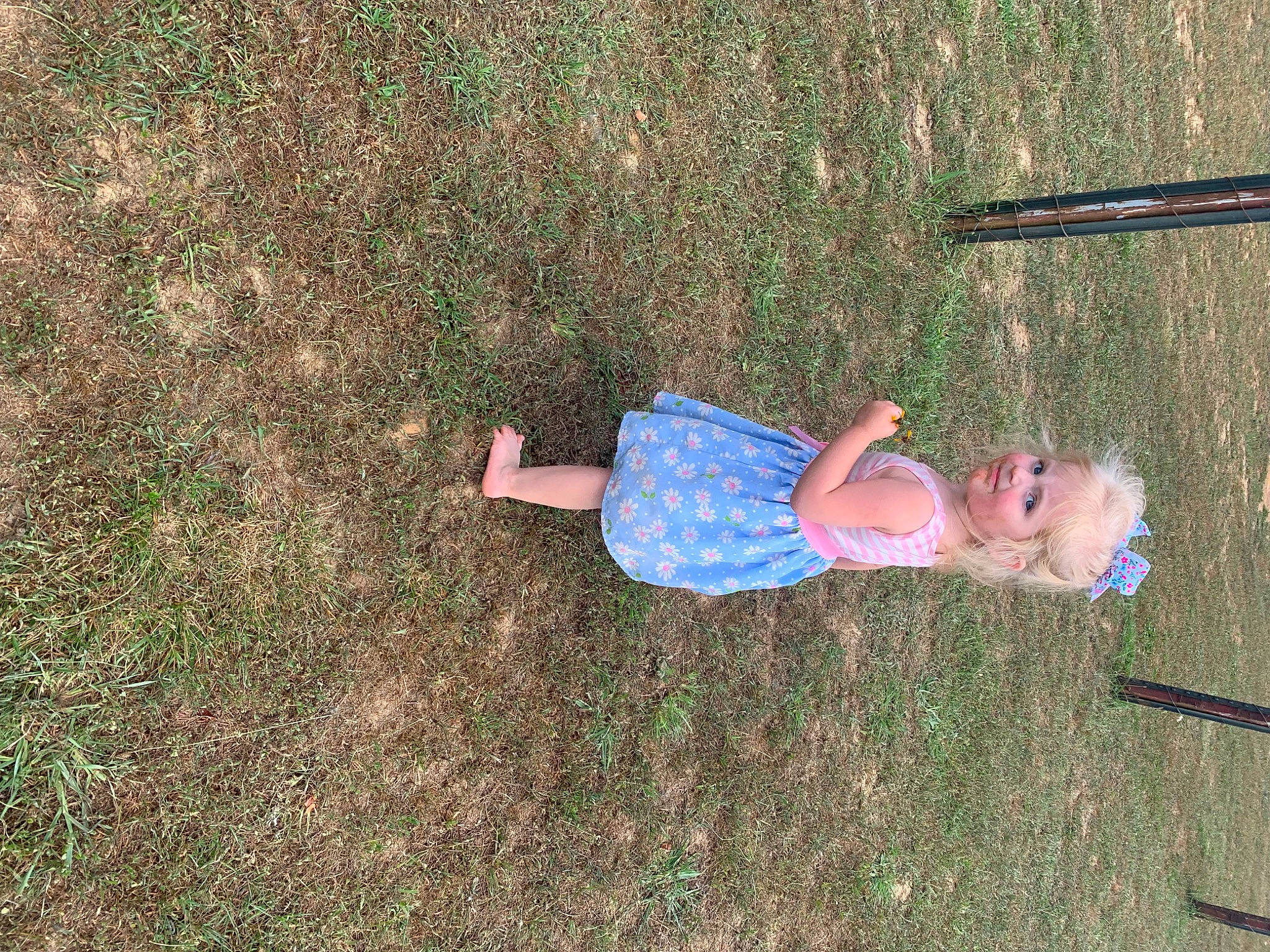 Hallie is registered to the contest to win money with this photo: baby_toddler_clothing, child, electric_blue, fun, grass, grass_family, grassland, lawn, leisure, people_in_nature, person, plant, play, recreation, shadow, soil, toddler, tree, wood, yard