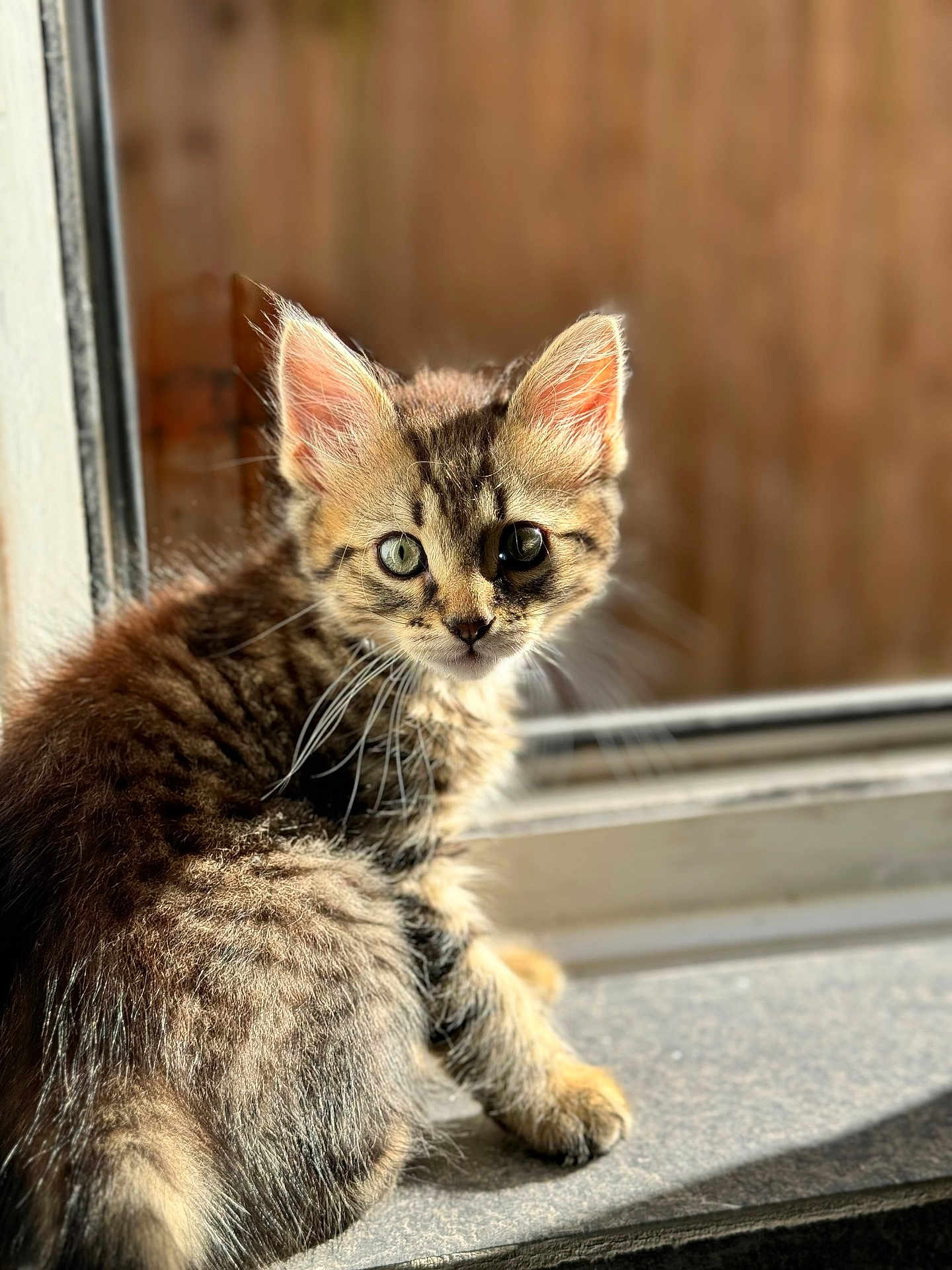 Chico