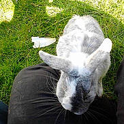 Bunny a rejoint le concours — aidez-le/la à gagner de superbes lots !