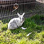 Bunny a rejoint le concours — aidez-le/la à gagner de superbes lots !