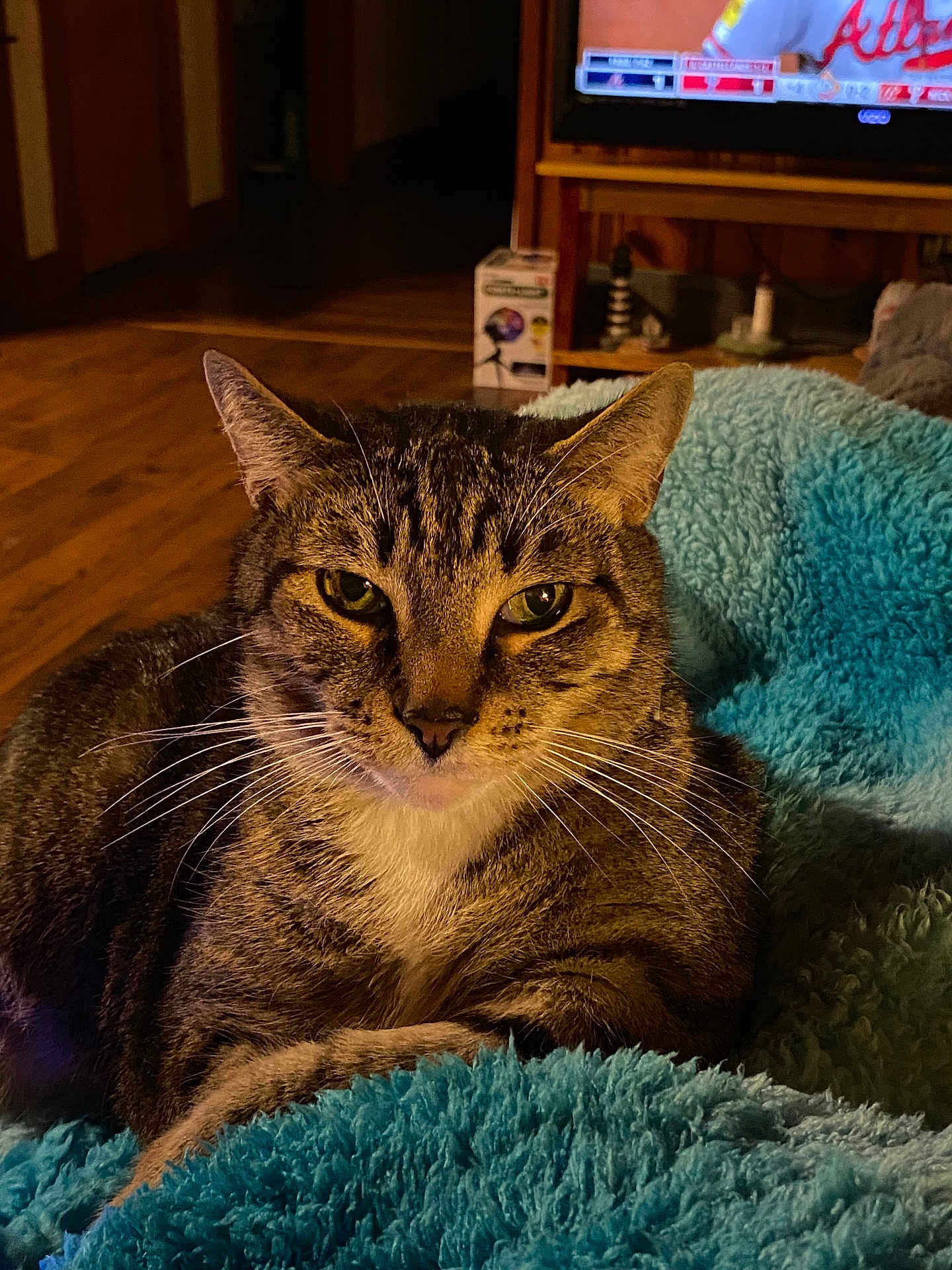 Cookie