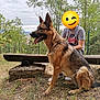 animal, boy, canine, child, clothing, dog, footwear, germanshepherd, grass, land, male, nature, outdoors, person, pet, plant, shoe, tree, vegetation, woodland