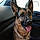 Louna