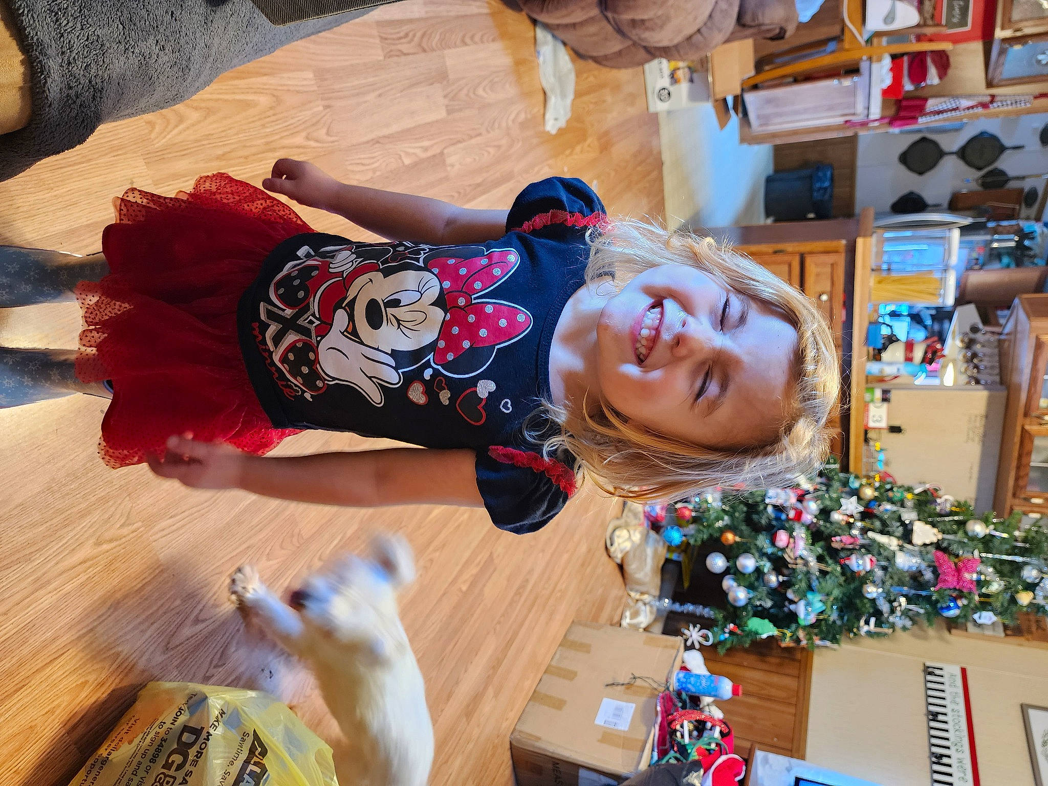Laura is registered to the contest to win money with this photo: child, christmas, christmas_eve, event, flooring, fun, happy, hardwood, holiday, joy, leisure, person, play, room, smile, toddler, toy, tree, vacation, wood
