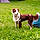 Louna