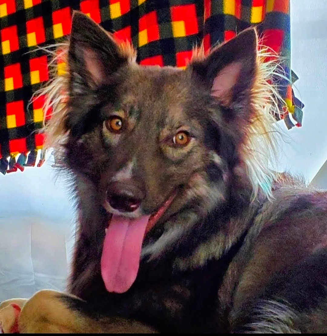 Ruger