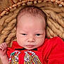 baby, newborn, infant, red_clothing, basket, knit_blanket, portrait, close_up, soft_texture, sleepy, indoors, cute, child, small_hand, face, head, young, resting, warm, cozy