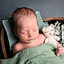 baby, newborn, sleeping, blanket, teddy_bear, knitted_toy, wooden_bowl, flowers, soft_texture, cozy, peaceful, infant, child, pillow, portrait, cute, resting, green, closeup, indoor