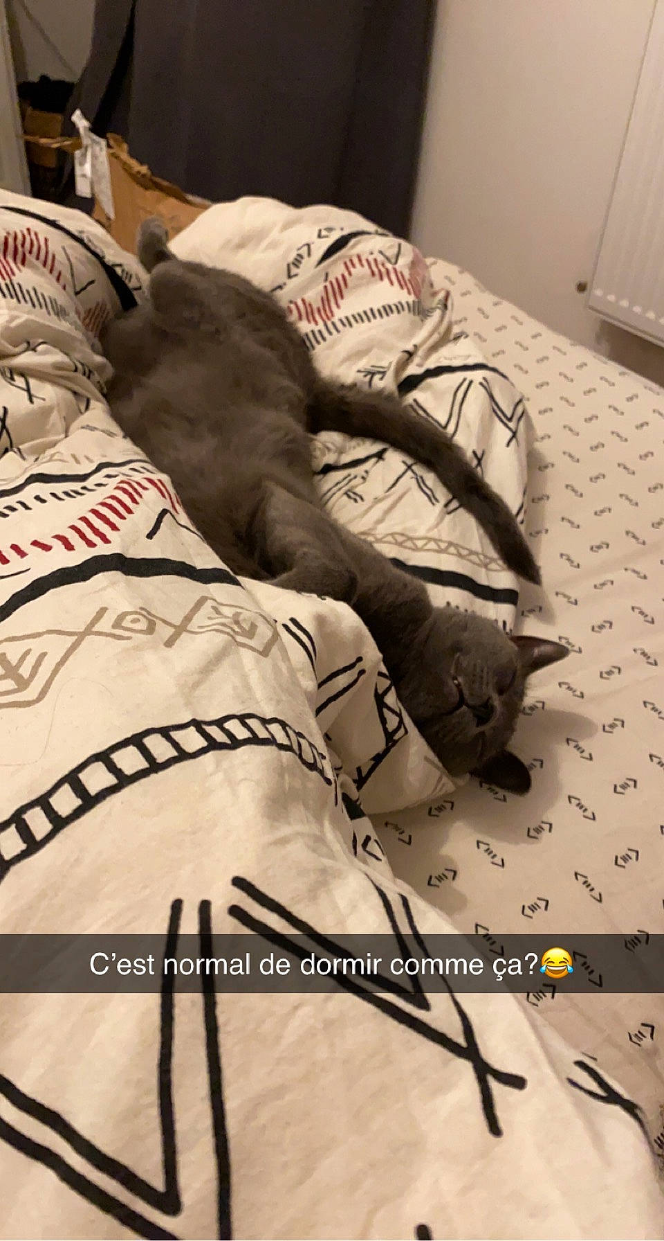 June participe au concours pour gagner de l'argent avec cette photo : bed, bed_sheet, bedding, bedroom, blanket, comfort, duvet, flesh, flooring, font, fur, linens, paper, pattern, photo_caption, room, sleeve, sportswear, t_shirt, textile