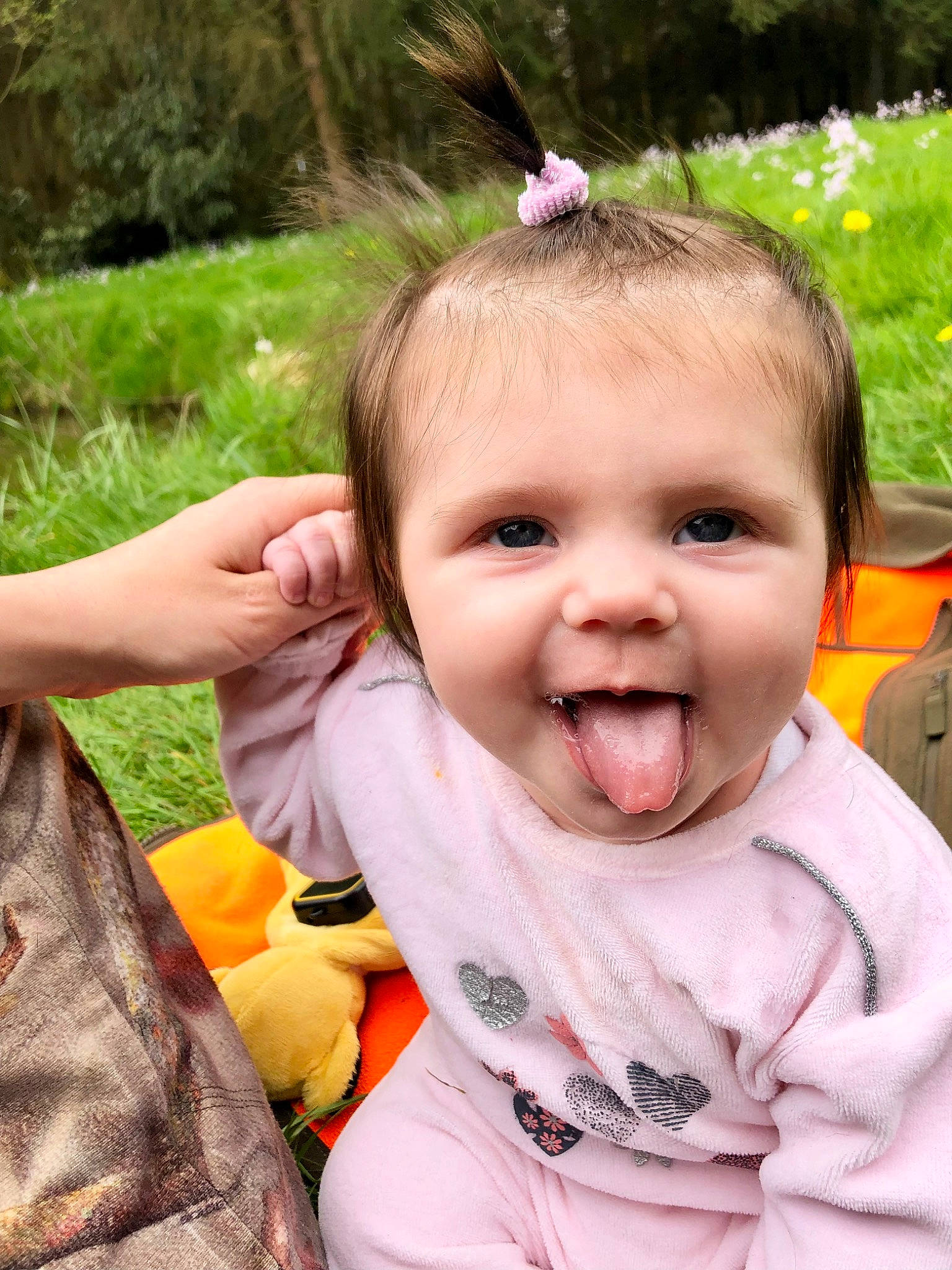 Elyse participe au concours pour gagner de l'argent avec cette photo : baby, baby_toddler_clothing, botany, face, finger, fun, gesture, grass, happy, iris, joy, leisure, lip, people_in_nature, person, pink, plant, skin, smile, summer