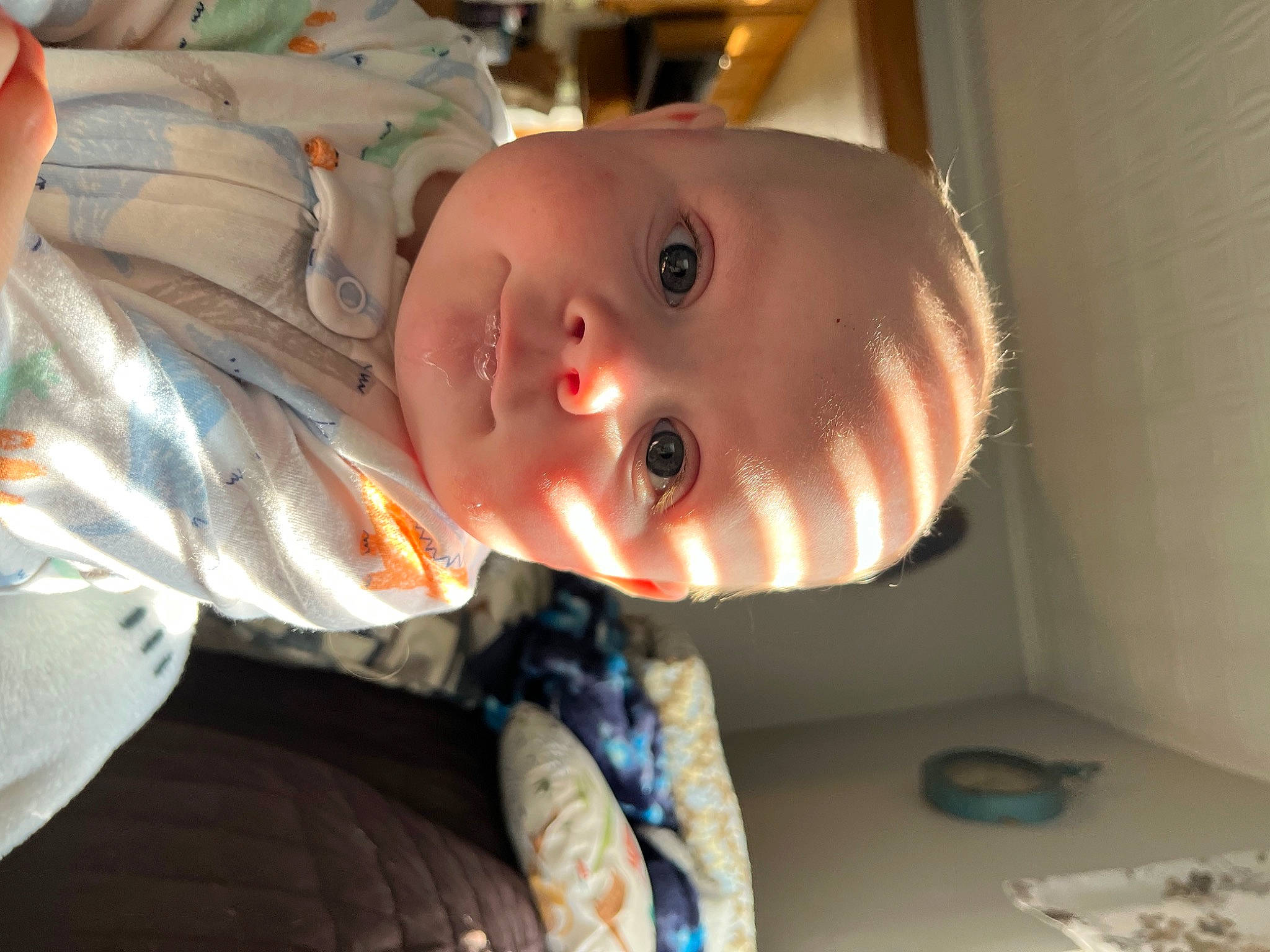 Bellamy is registered to the contest to win money with this photo: baby, baby_toddler_clothing, cheek, child, chin, eye, fun, happy, head, iris, mouth, nose, person, room, smile, toddler