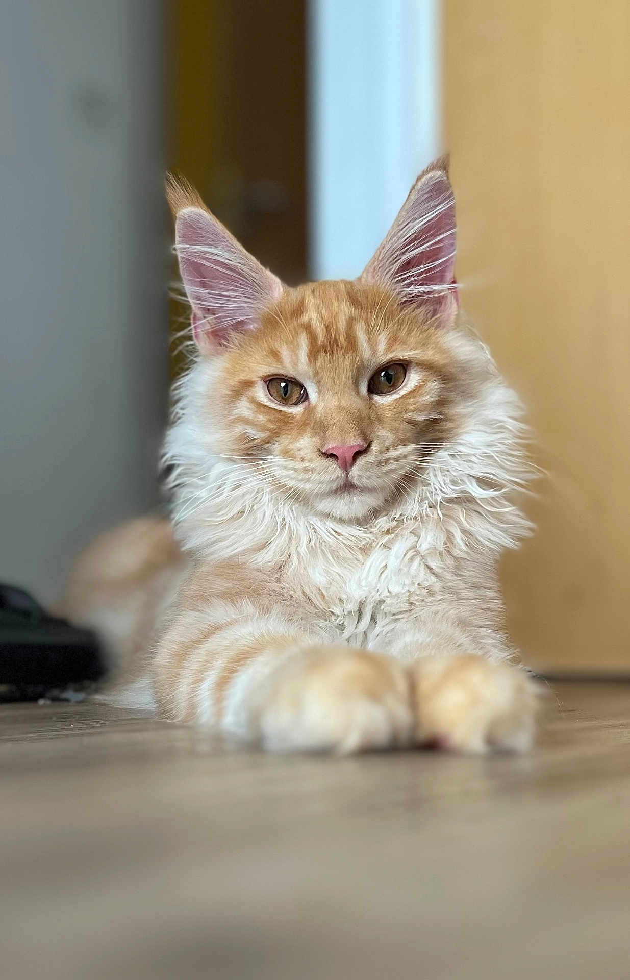 Tigger