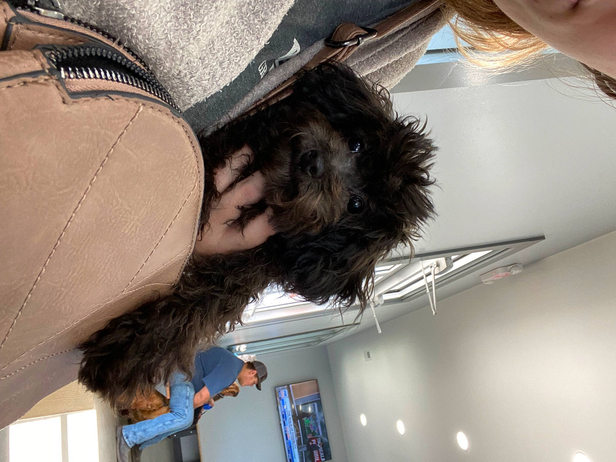 Pepper is registered to the contest to win money with this photo: automotive_window_part, beard, black_hair, ceiling, cool, eyewear, facial_hair, fashion_accessory, fun, fur, photography, room, selfie, shoulder, snapshot, tints_and_shades, waist