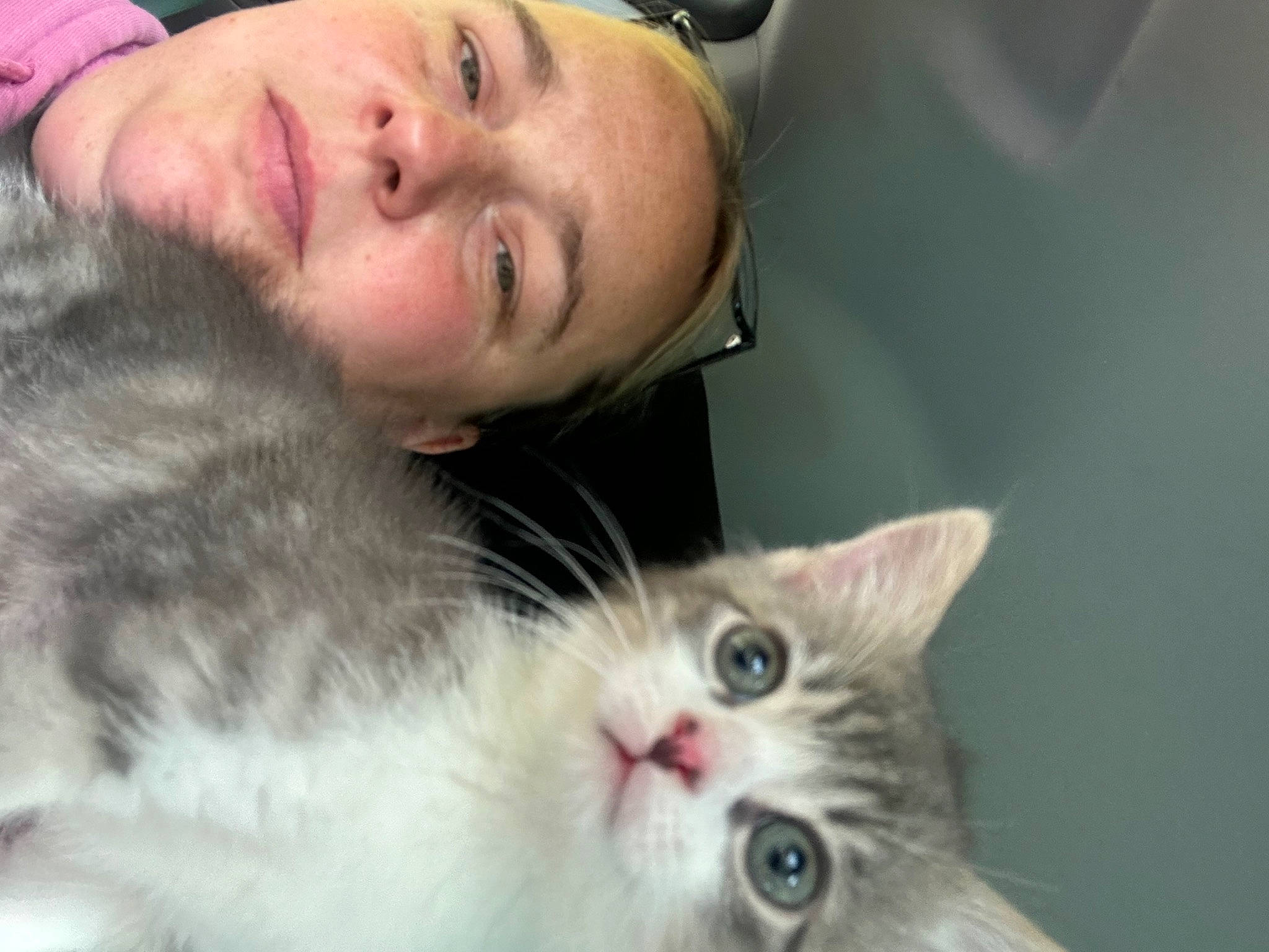 Belle joined the competition — help win amazing prizes! audio_equipment, carnivore, cat, close_up, comfort, domestic_short_haired_cat, ear, eyelash, felidae, fur, iris, mammal, nose, organ, paw, plant, skin, small_to_medium_sized_cats, snout, whiskers