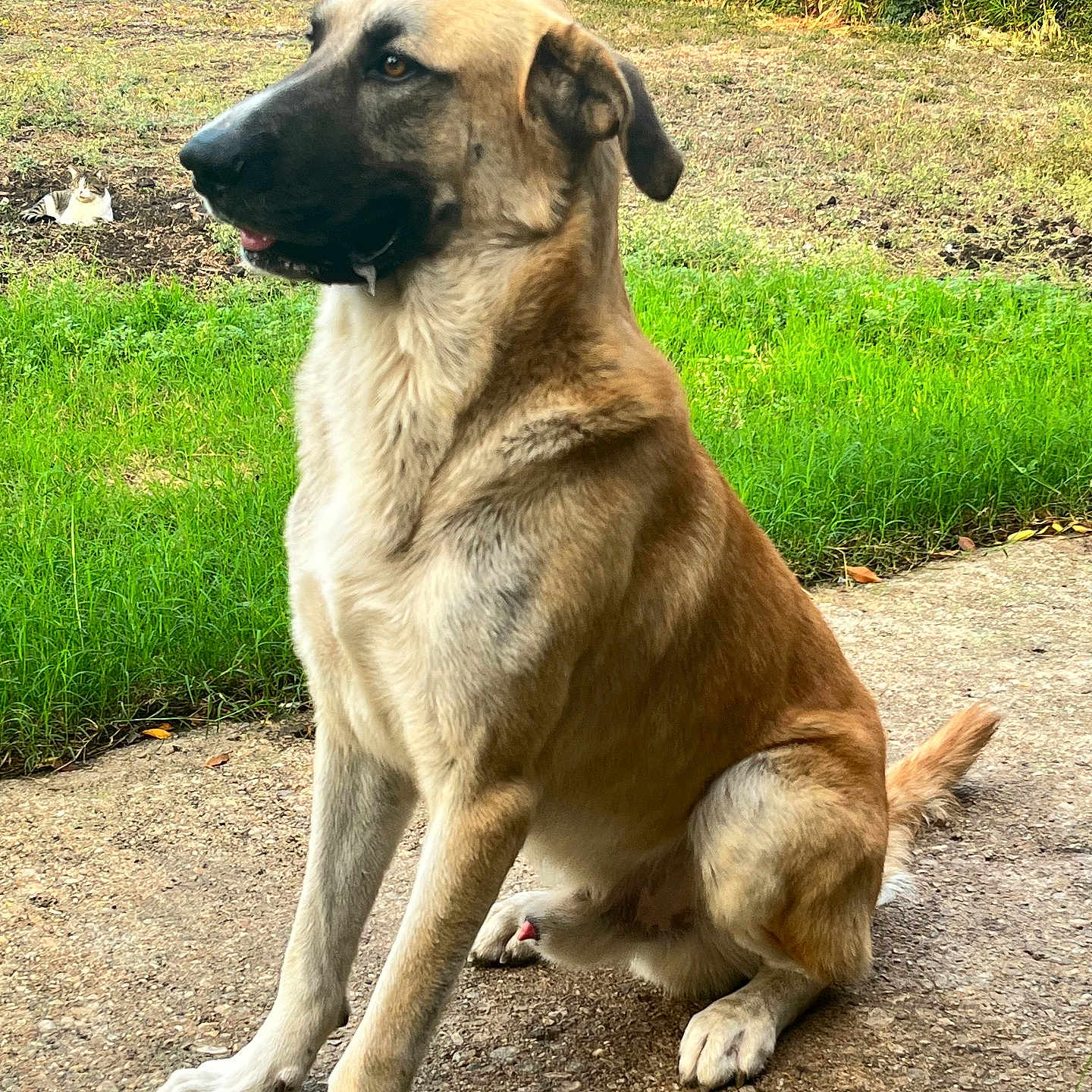 Duke