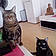 Belle Et Lucky