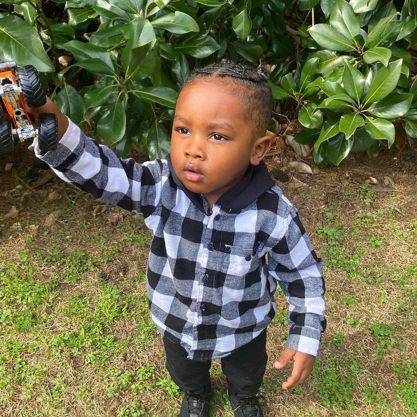Harlem joined the competition — help win amazing prizes! black_and_white_clothing, black_pants, boy, braided_hair, casual_wear, child, curious_expression, daylight, footwear, grass, greenery, leaves, nature, outdoor, person, plaid_shirt, standing, toddler, toy, toy_truck
