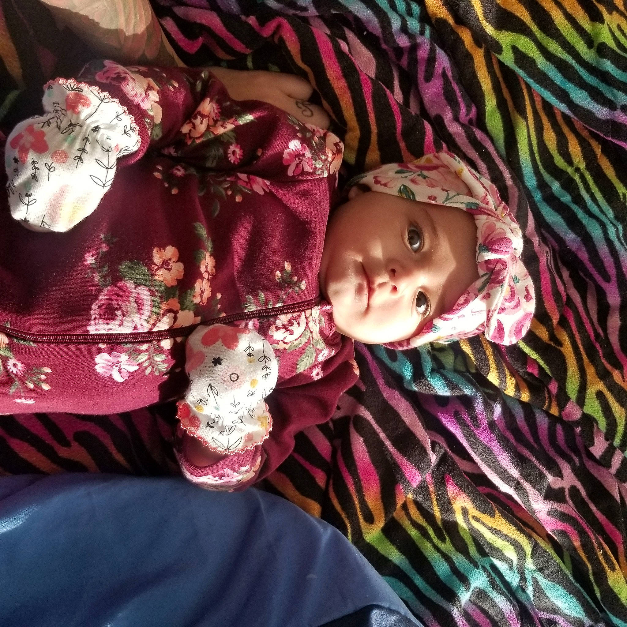 Nawaj is registered to the contest to win money with this photo: art, carmine, doll, event, eye, eyelash, fashion_accessory, fashion_design, hat, head, headwear, magenta, pattern, person, pink, purple, sleeve, textile, toy, tradition