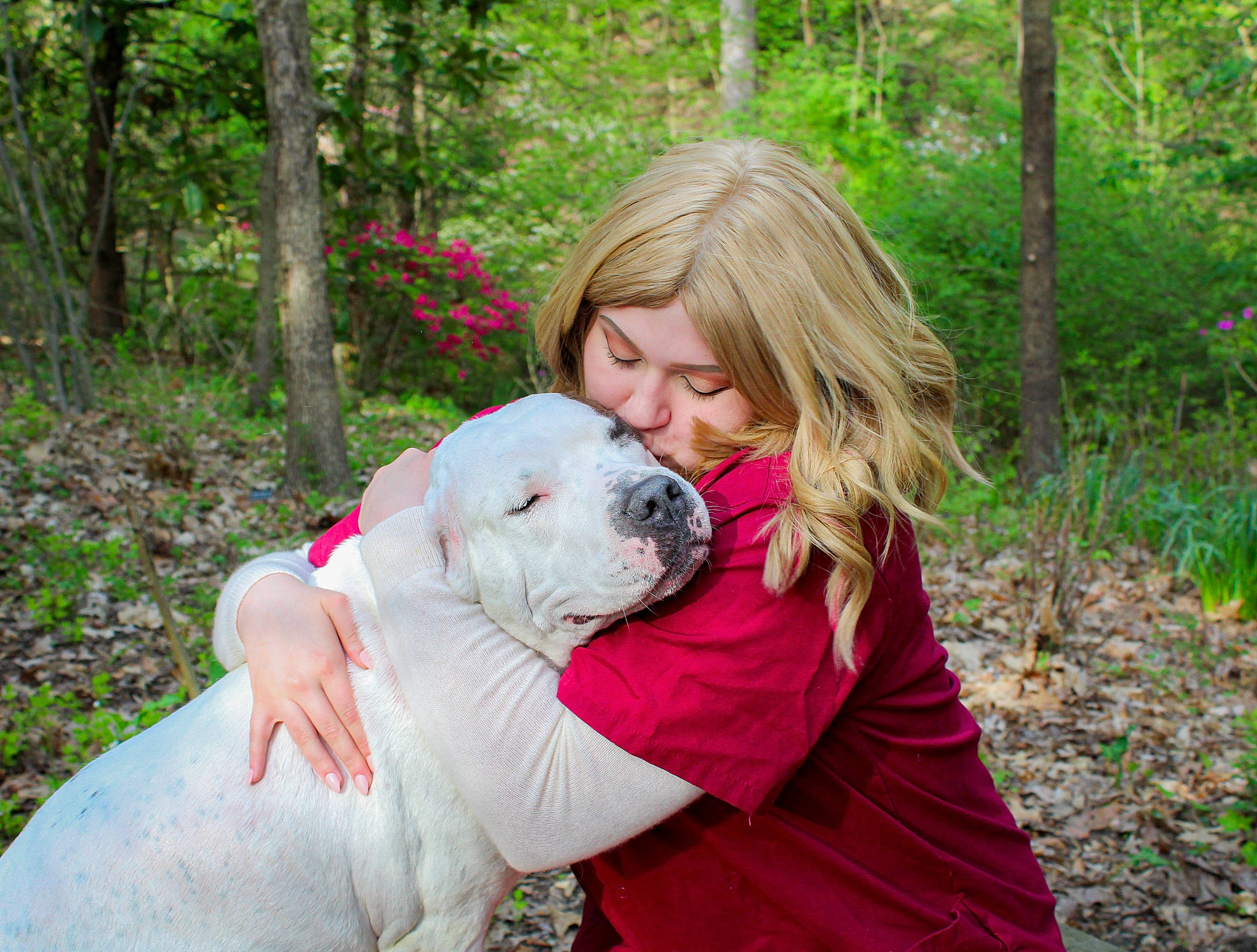 Kira joined the competition — help win amazing prizes! american_bulldog, australian_bulldog, bulldog, canidae, carnivore, companion_dog, dog, dog_breed, dogo_argentino, dogo_guatemalteco, dorset_olde_tyme_bulldogge, mammal, non_sporting_group, old_english_bulldog, olde_english_bulldogge, puppy_love, sporting_group, toy_bulldog, vertebrate, white_english_bulldog