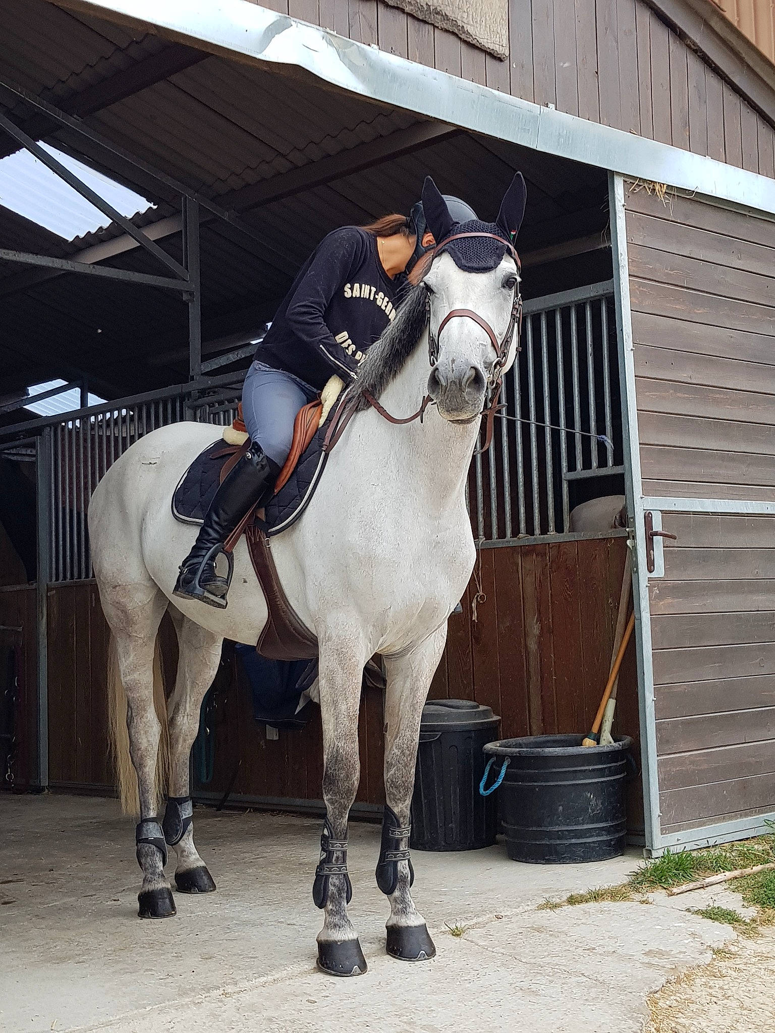 Cherish participe au concours pour gagner de l'argent avec cette photo : animal_sports, bridle, english_riding, equestrian_sport, equestrianism, equitation, halter, horse, horse_supplies, horse_tack, hunt_seat, jockey, mammal, mane, mare, recreation, rein, saddle, stallion, vertebrate