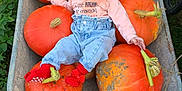 Khalessi participe au concours pour gagner de l'argent avec cette photo : baby, clothing, face, food, grass, hat, head, pants, person, photography, plant, portrait, pottedplant, produce, pumpkin, soil, squash, transportation, vegetable, vehicle