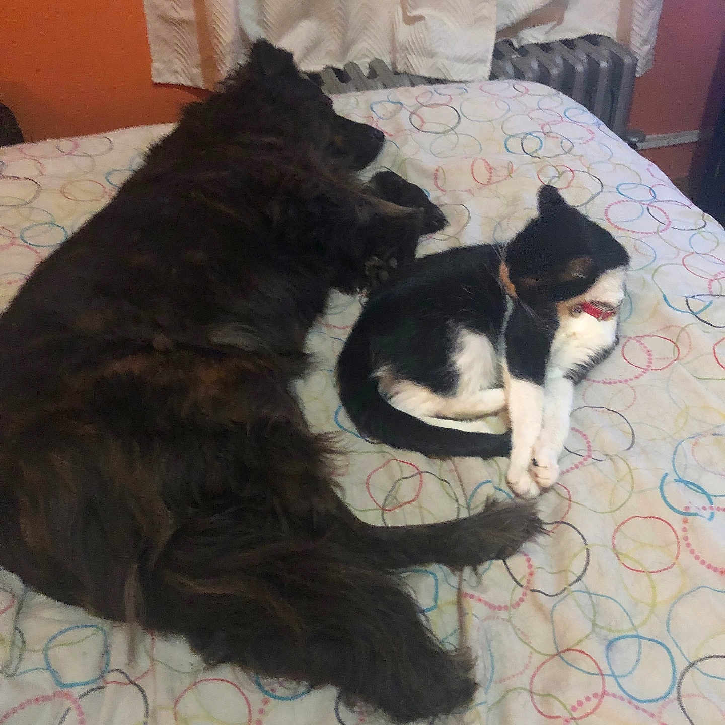 Precious