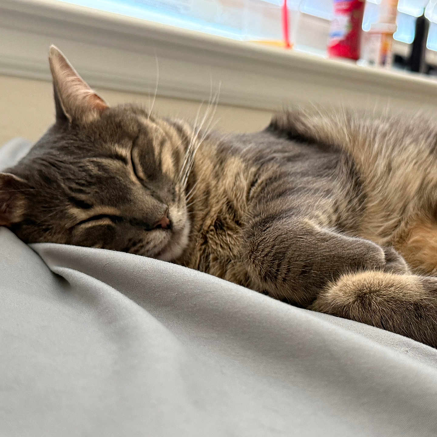 Luna