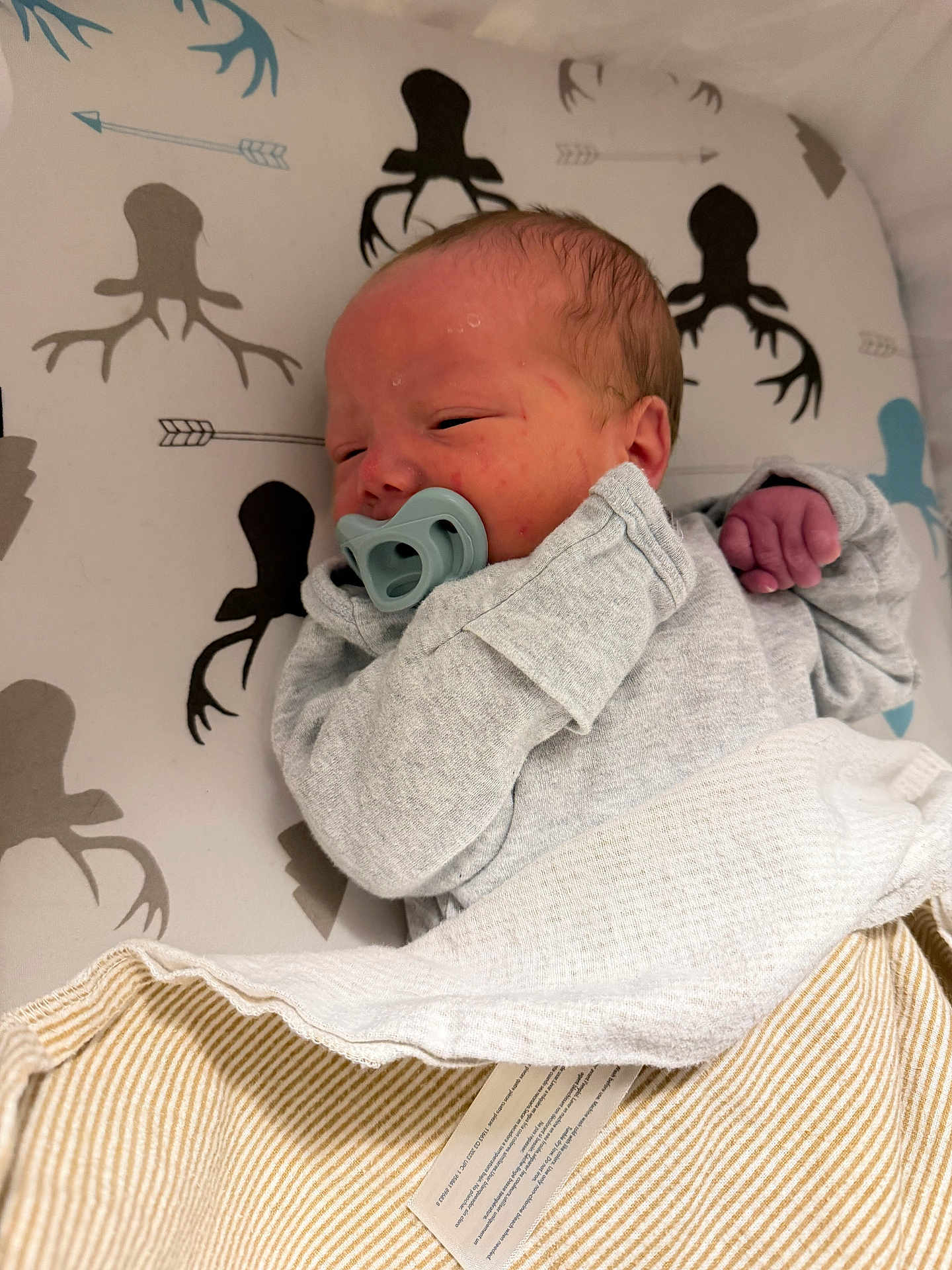 Elijah is registered to the contest to win money with this photo: newborn, baby, pacifier, blanket, clothing, resting, pattern, antlers, arrows, cushion, infant, sleeping, face, hand, cozy, indoors, soft, cute, child, portrait