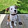 Roxy