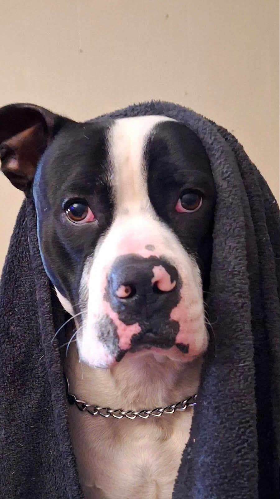 Dopey
