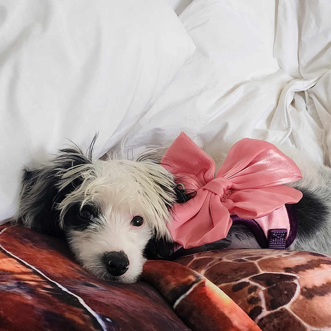 Tiny