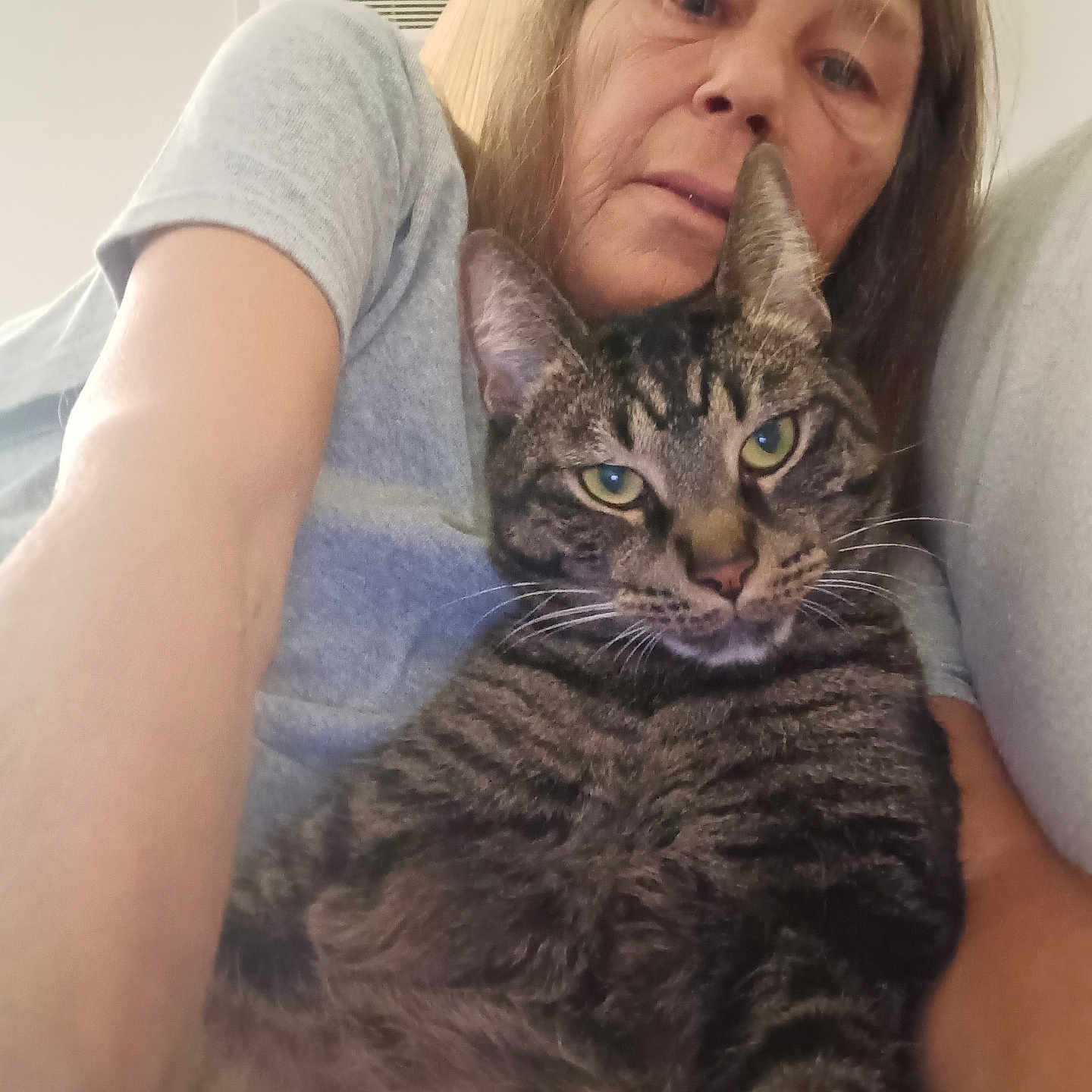 Kudu joined the competition — help win amazing prizes! animal, arm, casual, cat, closeup, eyes, face, feline, fur, gray_shirt, human, indoor, lamp, person, pet, portrait, resting, selfie, tabby_cat, whiskers