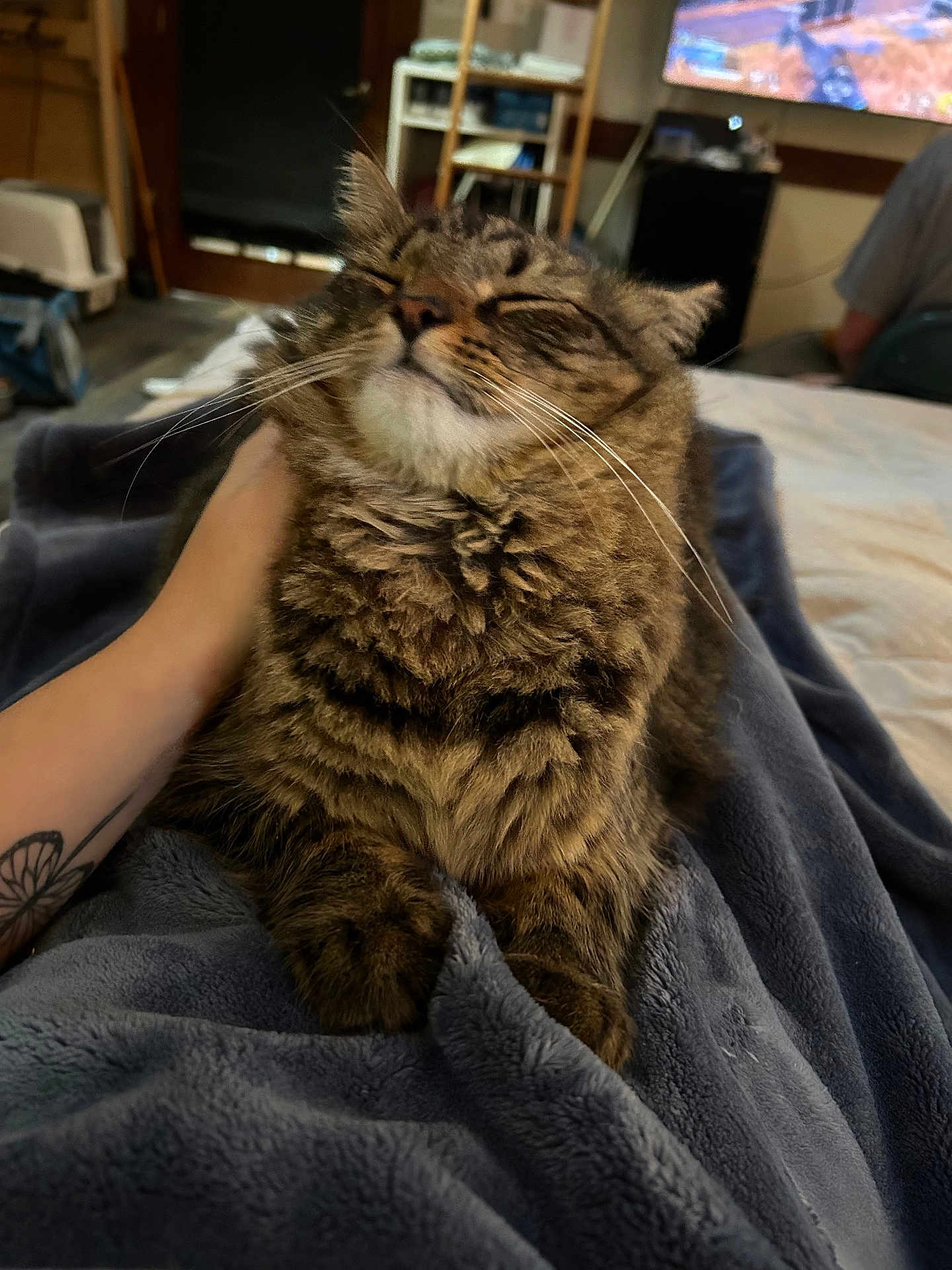 Rocky