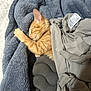 cat, orange_tabby, sleeping, blanket, gray, cozy, soft, nap, fur, indoor, resting, cute, pet, animal, comfort, warm, fabric, relaxation, domestic, feline