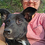 Cookie joined the competition — help win amazing prizes! dog, woman, selfie, portrait, outdoor, nature, trees, sunlight, black_and_white, large_ears, collar, pet, owner, human, smiling, glasses, pink_shirt, closeup, animal, companionship