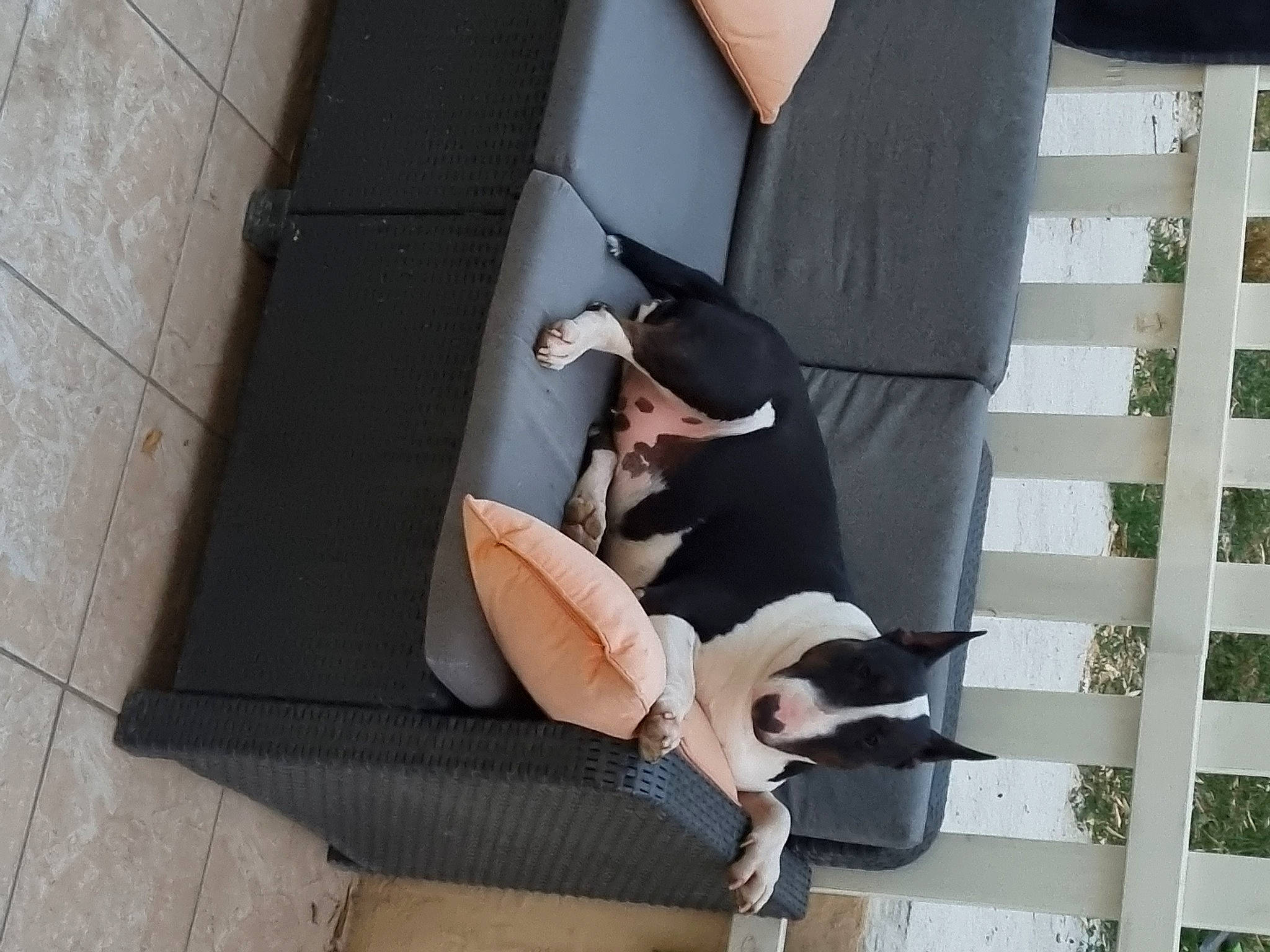 Roxane participe au concours pour gagner de l'argent avec cette photo : chair, comfort, dress, eyewear, foot, glasses, hat, house, human_leg, knee, room, shorts, sitting, stairs, suit, sunglasses, thigh, tree, wood, wrist