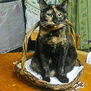 Mimine a rejoint le concours — aidez-le/la à gagner de superbes lots !