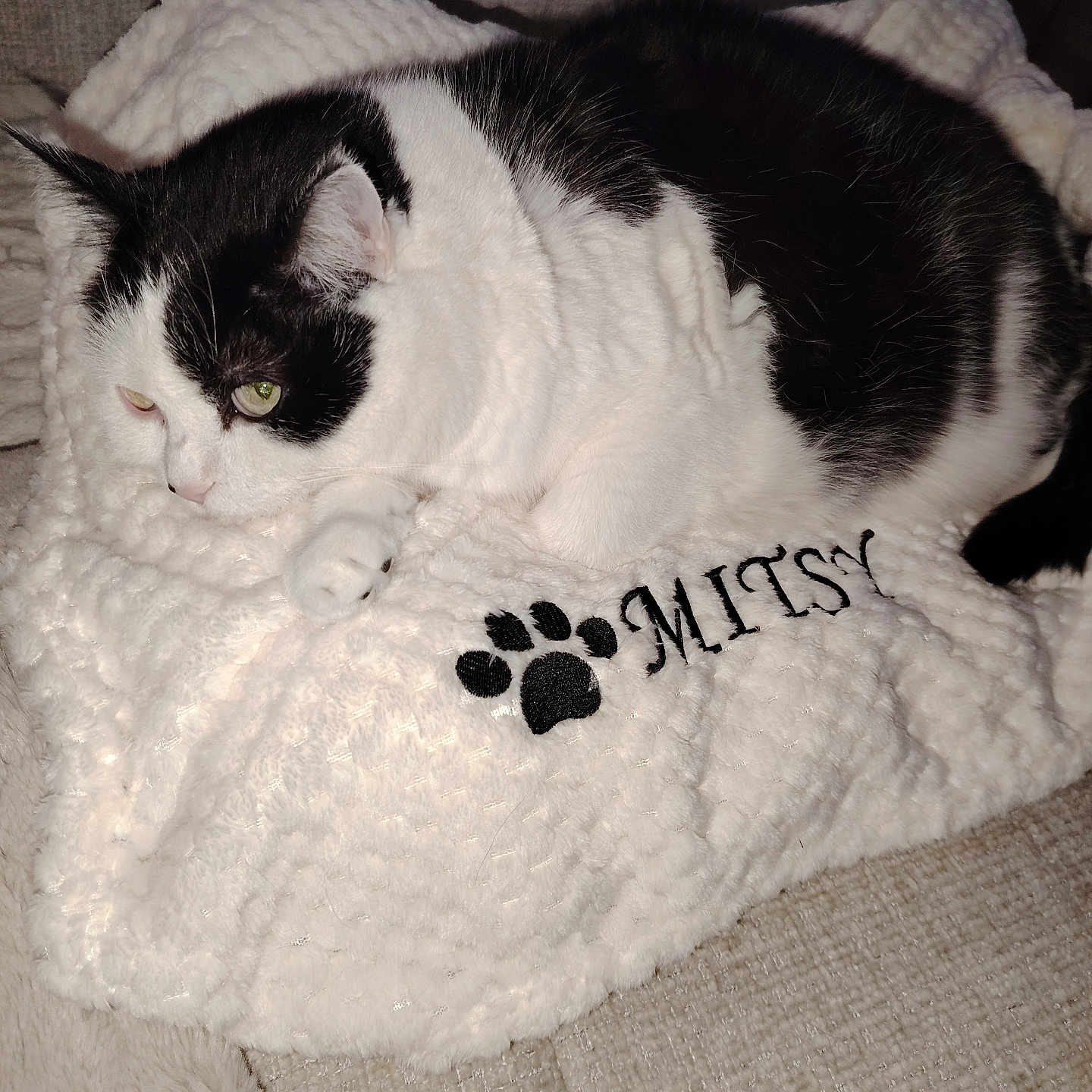 Mitsy a rejoint le concours — aidez-le/la à gagner de superbes lots ! cat, black_and_white, fluffy_blanket, embroidered_text, paw_print, couch, relaxing, indoor, pet, feline, cozy, resting, fur, white, black, comfortable, home, animal, cute, soft