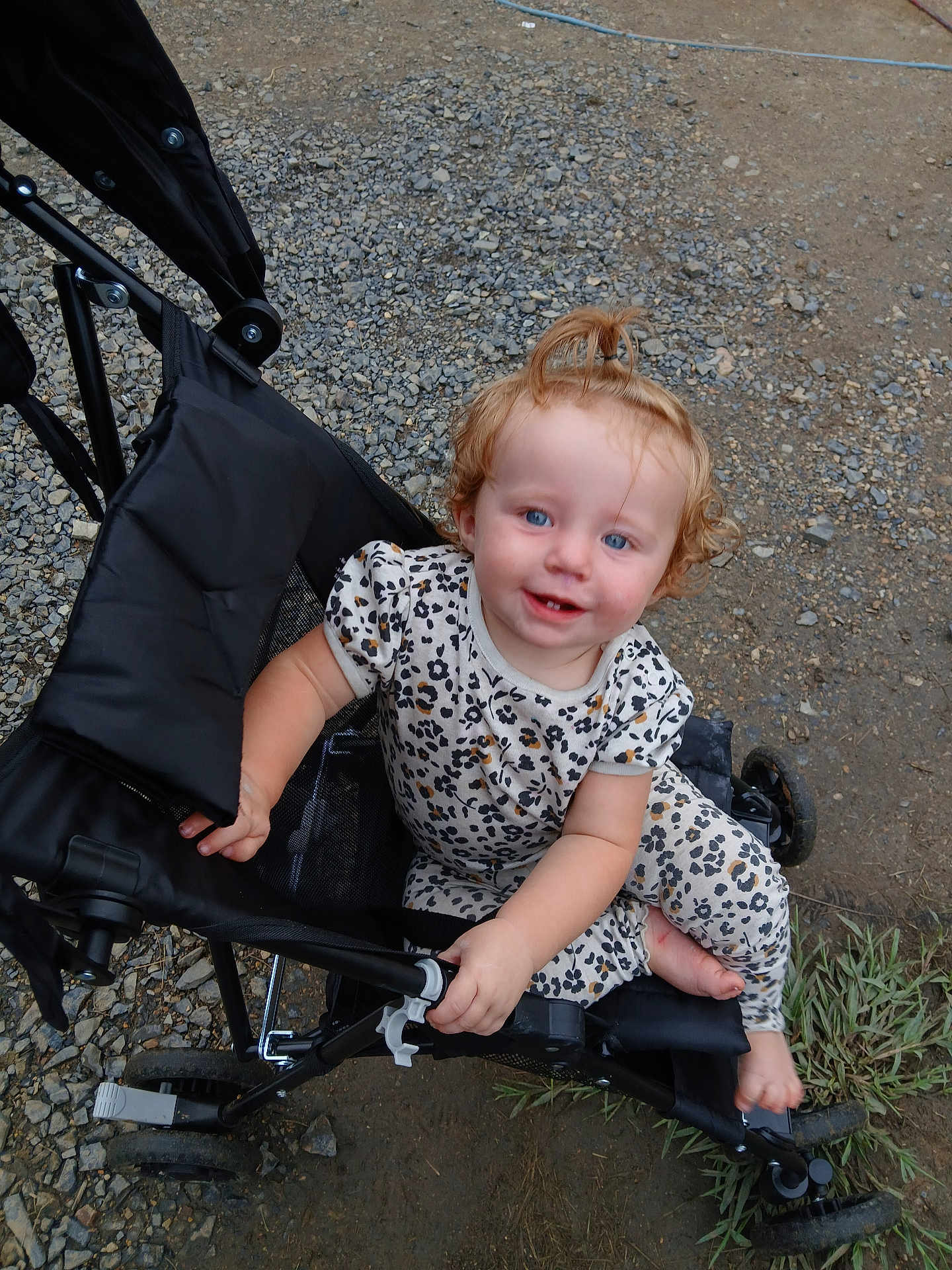 Journey joined the competition — help win amazing prizes! toddler, child, stroller, curly_hair, blue_eyes, leopard_print, outdoor, gravel, dirt, grass, footwear, hand, smile, person, seat, black, clothing, baby, cute, portrait