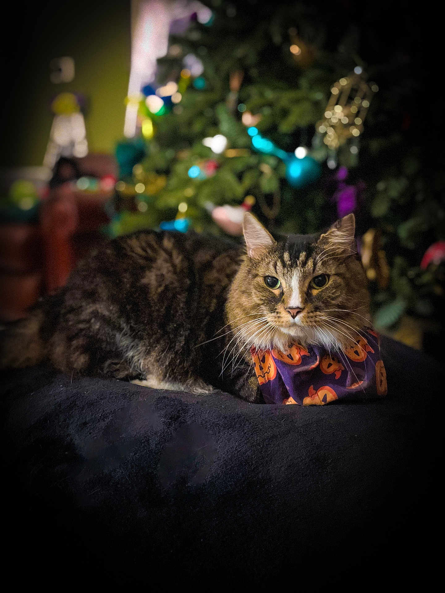 Tilly