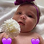 Zaïna participe au concours pour gagner de l'argent avec cette photo : baby, flower, headband, purple, heart_emoji, blanket, infant, cute, closeup, skin, face, lying_down, soft_light, adorable, child, portrait, white_flower, ribbon, toddler, indoors